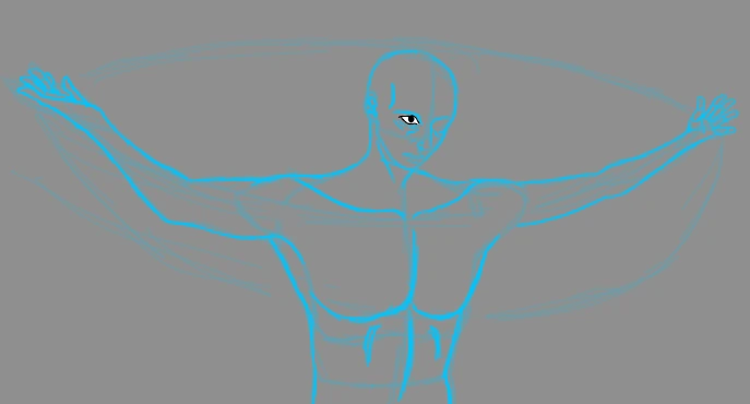 Anatomy study
