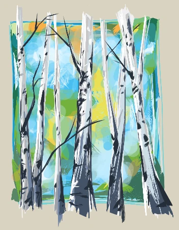 Birch