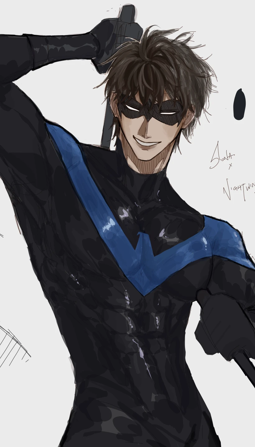 nightwing cosplay