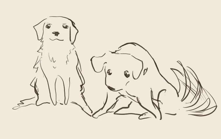 My doggies  
