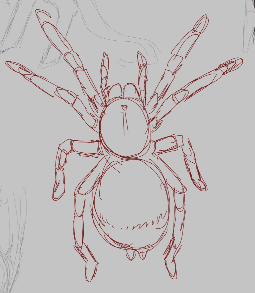 Arachnid
