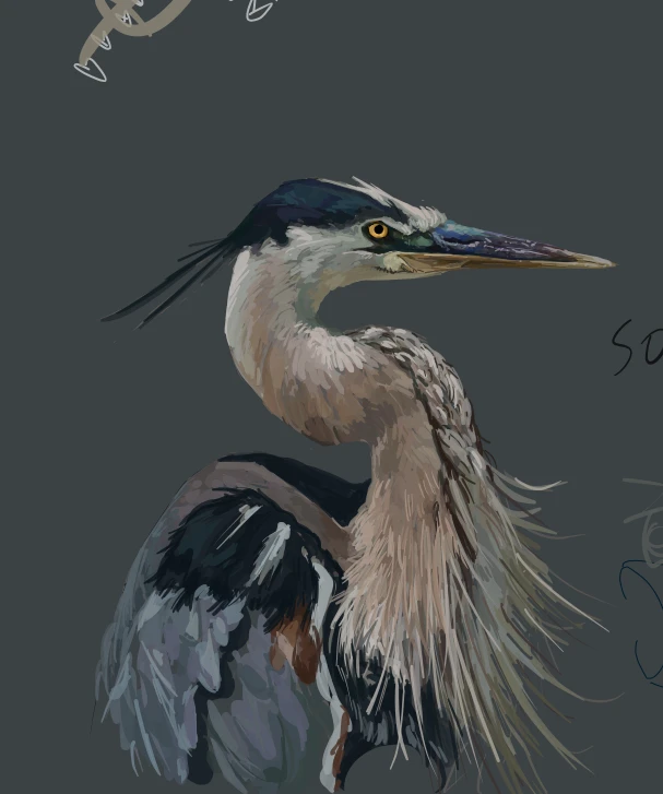 Birb :)