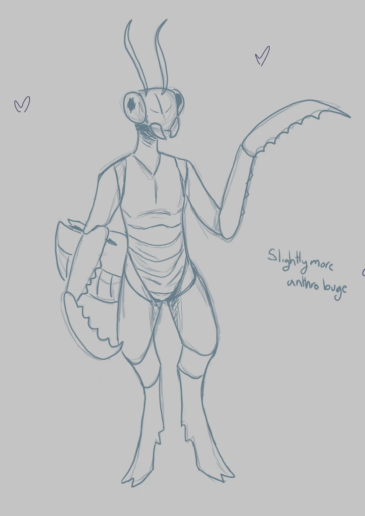 Mantis guye