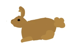 Bunny :)