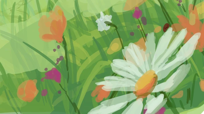 wip flower field