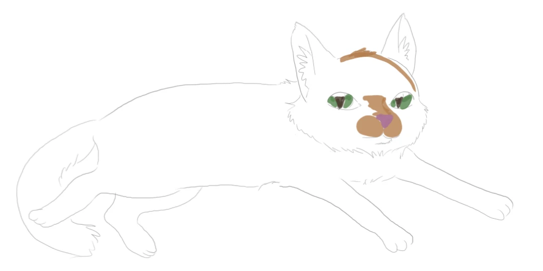 cat