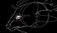 yet another wip