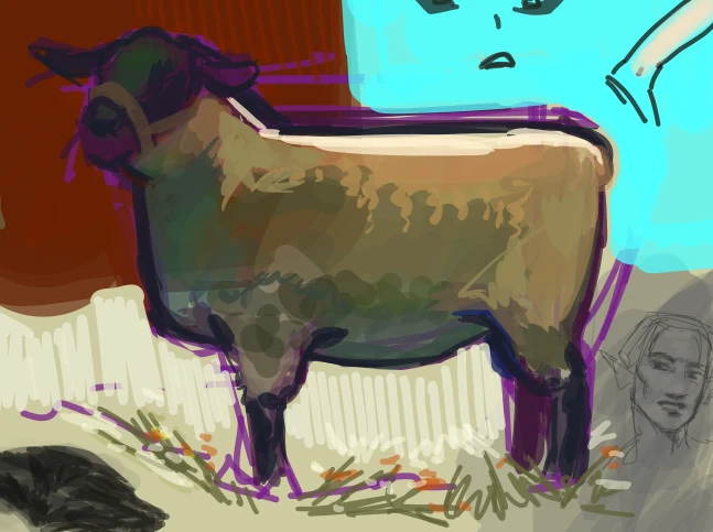 sheep