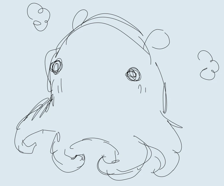Drawing marine life