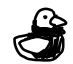 Duck 🦆 