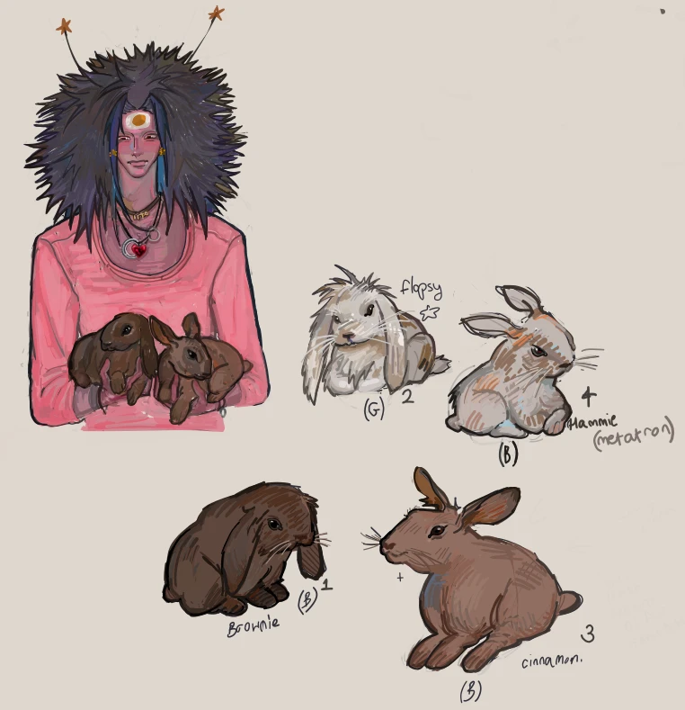 My bunnies 