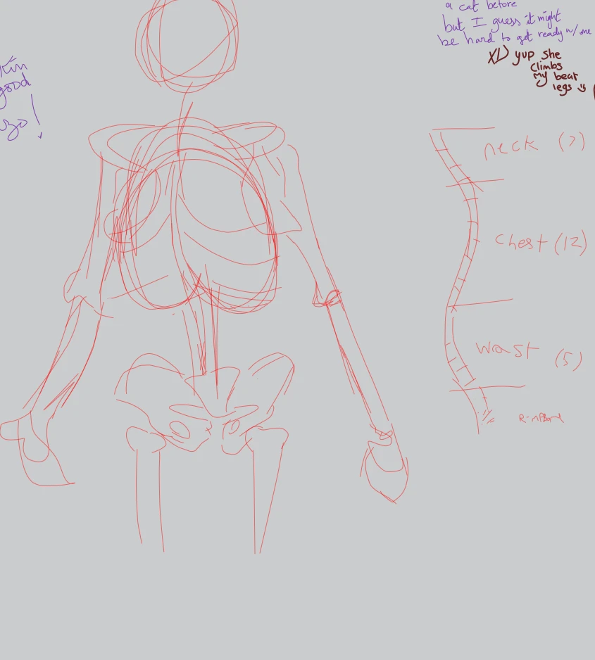 Skeleton 